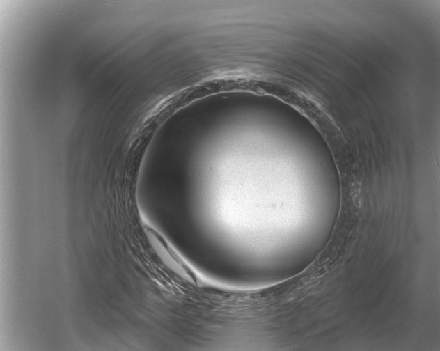 X0000060220968200510311517