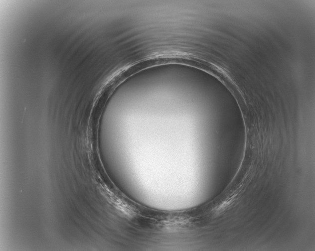 X0000060220979200510311517