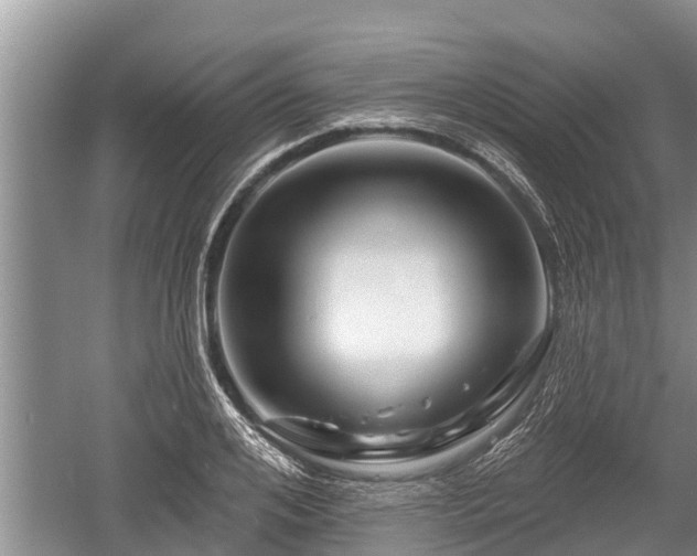 X0000060220984200510311517