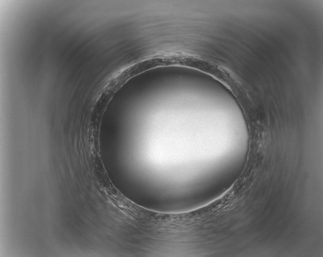 X0000060221016200510311516