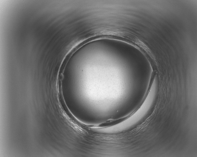 X0000060221028200510311516