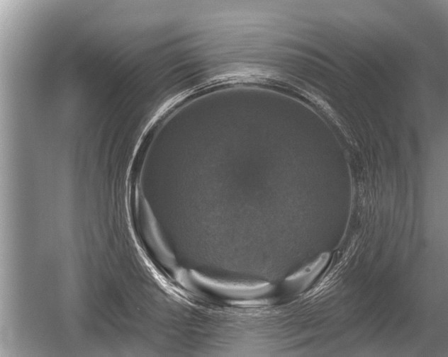 X0000060221034200510311516