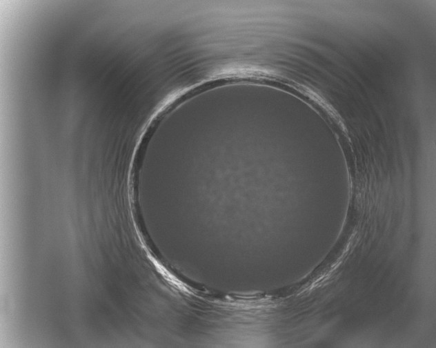 X0000060221037200510311516