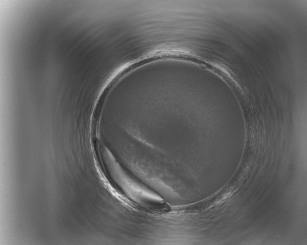 X0000060221038200510311516