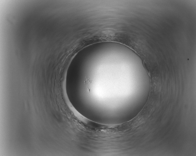 X0000060221057200510311515