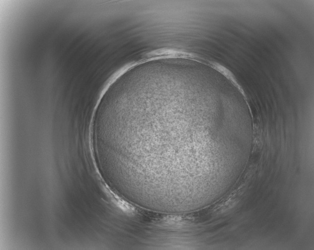 X0000060221098200510311515