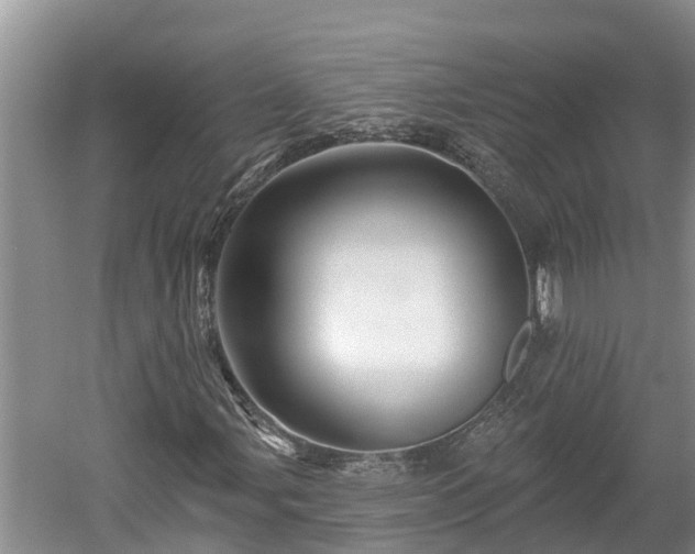 X0000060221107200510311514