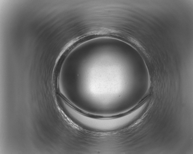 X0000060221122200510311514