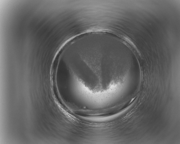 X0000060221124200510311514