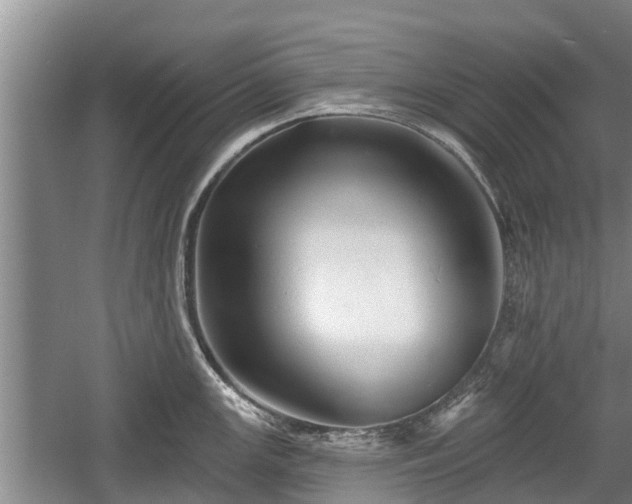 X0000060221147200510311515