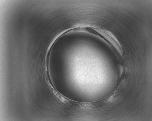 X0000060221148200510311515