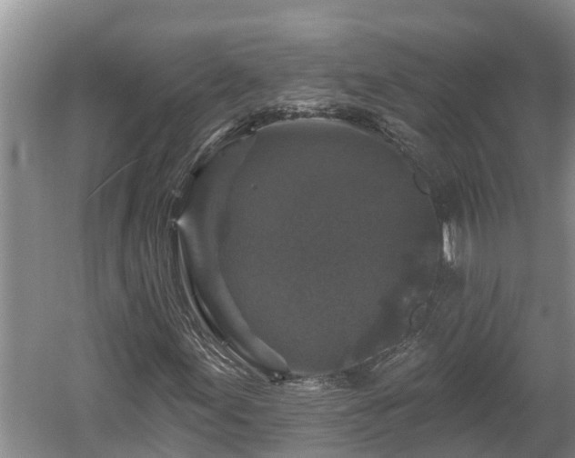 X0000060221155200510311514