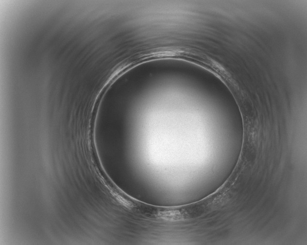 X0000060221186200510311513