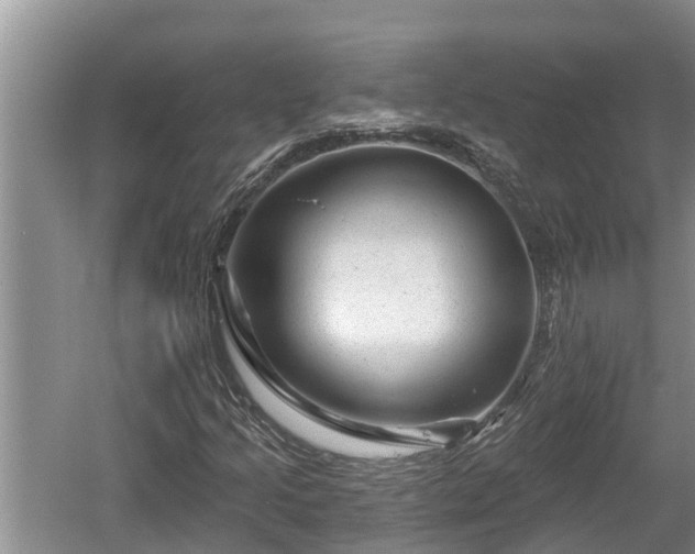 X0000060221205200510311512