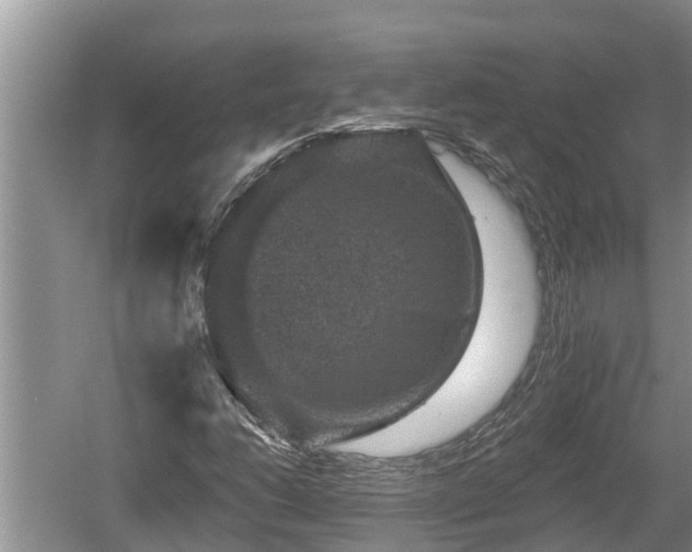 X0000060221206200510311512