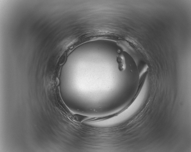 X0000060221210200510311512