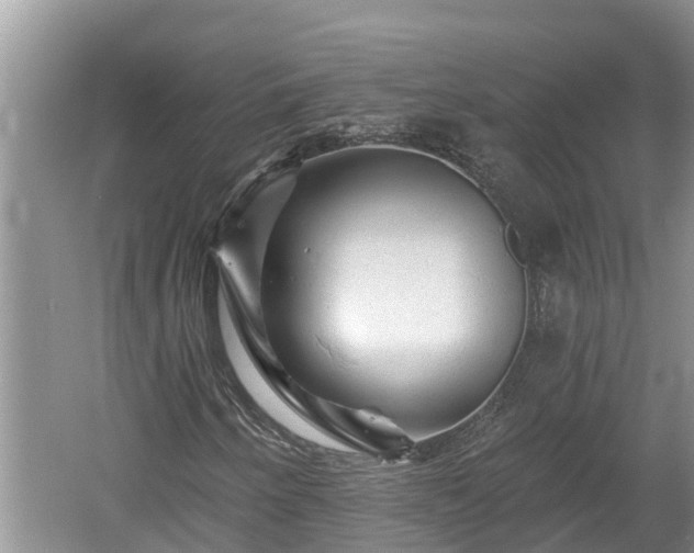X0000060221250200510311512