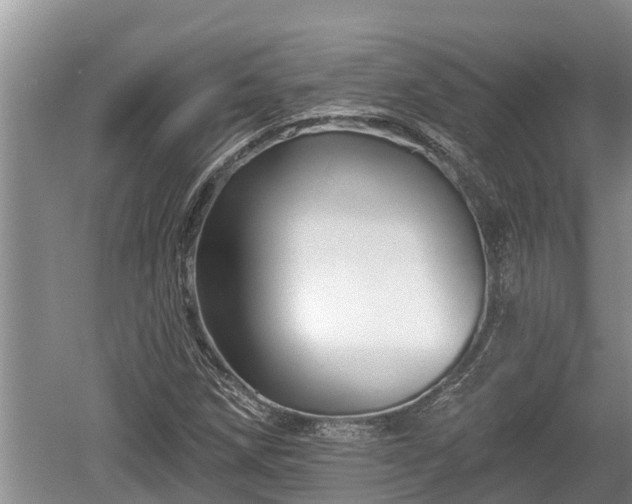 X0000060221258200510311512