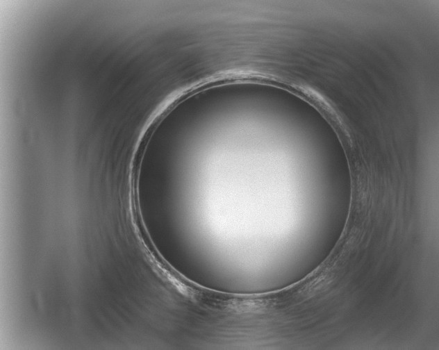 X0000060221286200510311512