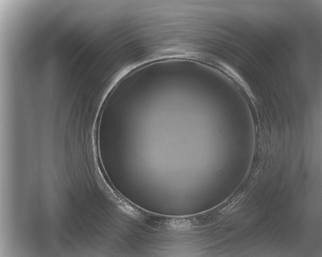 X0000060221291200510311511