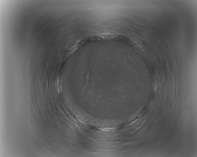 X0000060221298200510311511
