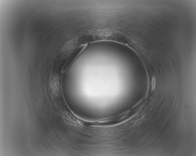 X0000060221299200510311511
