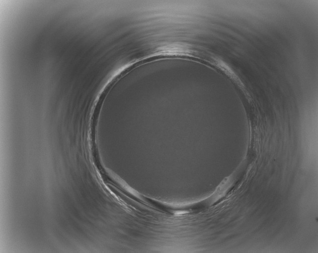 X0000060221331200510311511