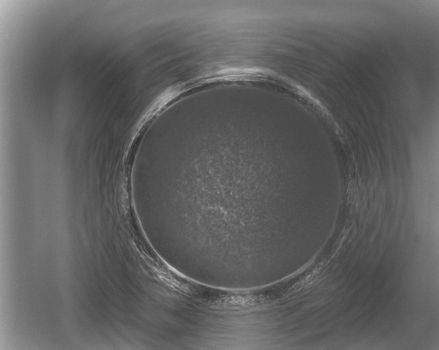 X0000060221362200510311510