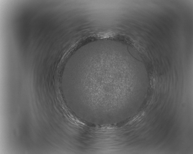 X0000060221393200510311509