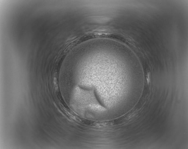 X0000060221396200510311509