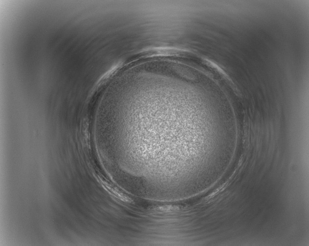 X0000060221403200510311509