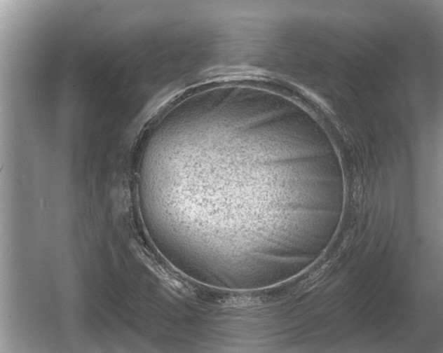 X0000060221407200510311509