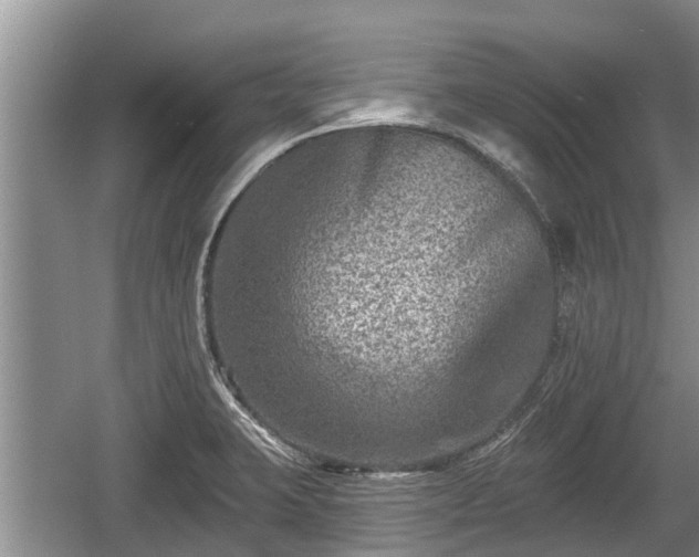 X0000060221423200510311509