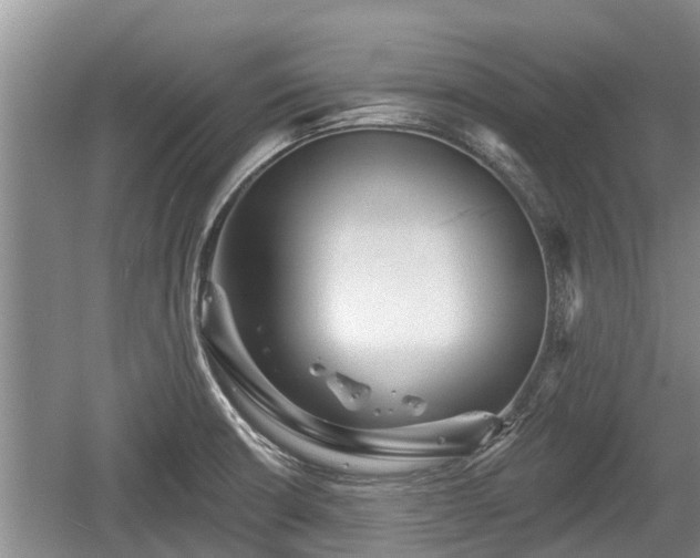 X0000060221426200510311509