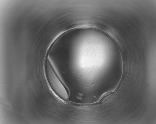 X0000060221476200510311508