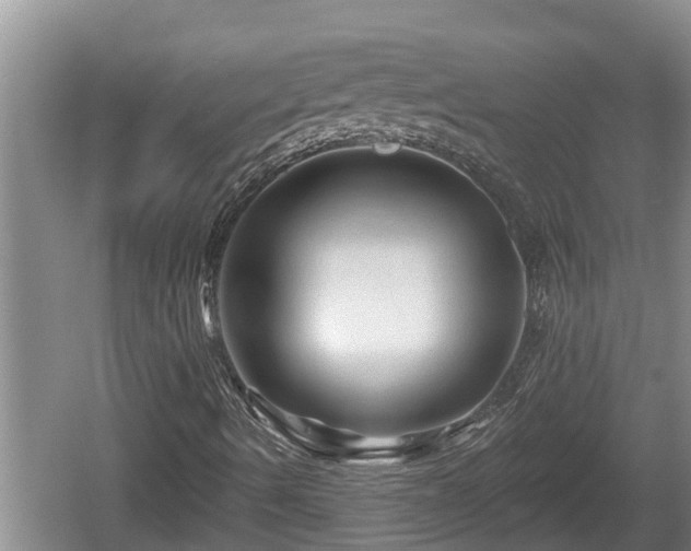 X0000060221490200510311507