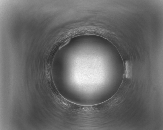 X0000060221491200510311507