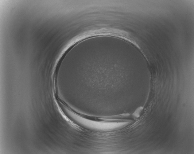 X0000060221515200510311507