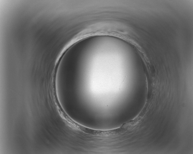 X0000060221530200510311508