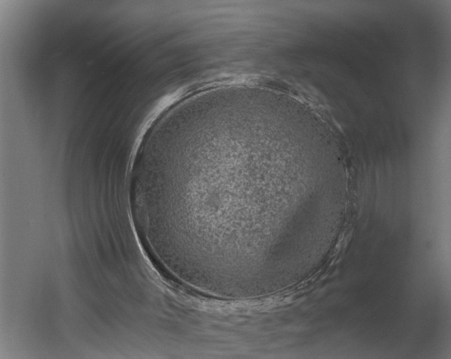 X0000060220003200511041217