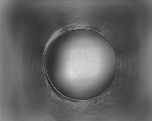 X0000060220004200511041217