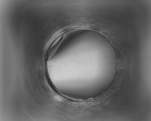 X0000060220005200511041217