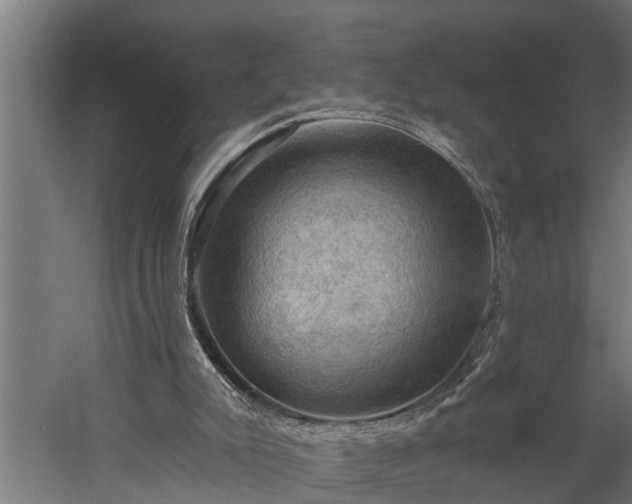 X0000060220007200511041216