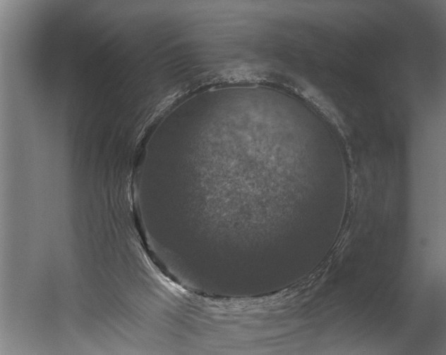 X0000060220009200511041216
