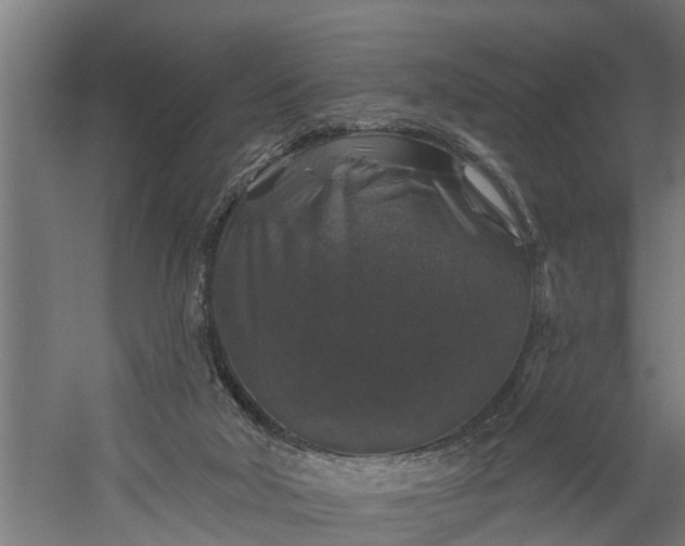 X0000060220018200511041216