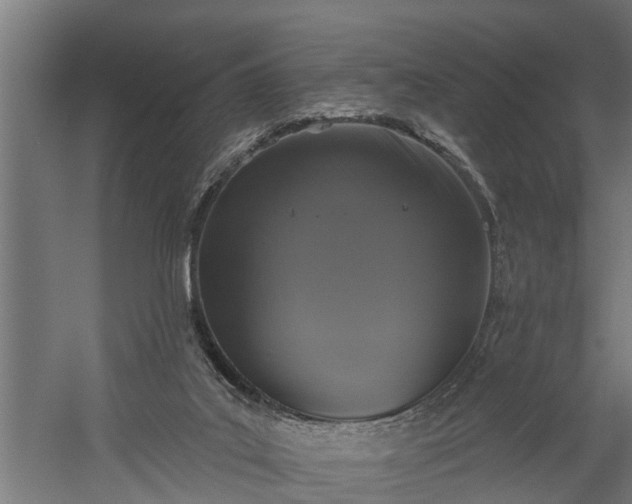 X0000060220019200511041216