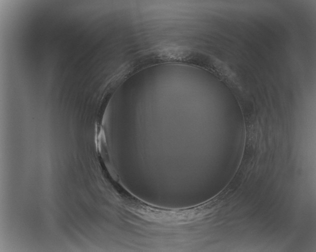 X0000060220027200511041216