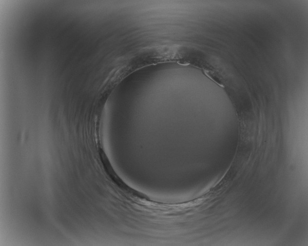 X0000060220035200511041216