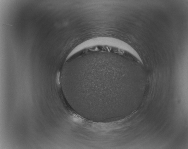 X0000060220041200511041216