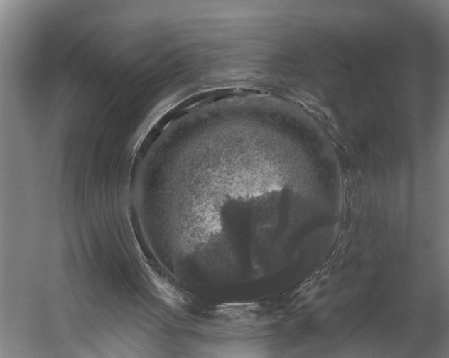 X0000060220051200511041215